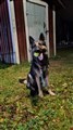 20211104_181733.jpg