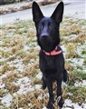 IMG_20220112_180800_474.jpg