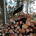 IMG_20220129_200719_275.jpg